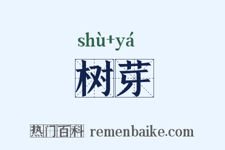 树芽是什么意思的图片